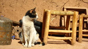 Aït Ben Haddou
