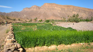 Vallée fertile de l'Atlas
