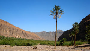 l'oued