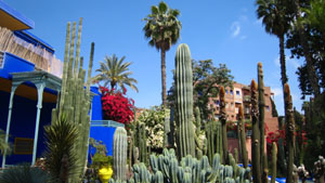 Marrakech